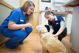 We will be open easter sunday from 11 am until 5 pm. Home Mendon Village Animal Hospital