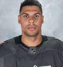 Louis blues and pittsburgh penguins Ryan Reaves Wiki Bio Age Alanna Forsyth Afro Weight And Net Worth