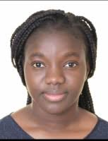 Les professionnels, salariés, free-lances et entrepreneurs du Mali