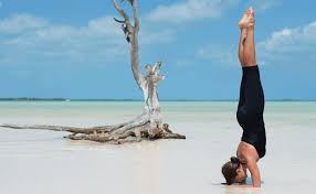 Apr 02, 2008 · yoga has genuinely been the best thing that i've started in my life and done consistently. Pincha Mayurasana La Postura Del Pavo Real Relajemos Com