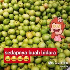 Hilang emak hilang saudara, kerana kasih hamba turutkan. nama panggilan untuk buah bidara ada banyak buah bidara jika mengikut nama latin atau sainsnya adalah ziziphus mauritiana. Bidara Syifa Baizura Nasi Lemak Buah Bidara Sayang Selasih Hamba Lurutkan Hilang Emak Hilang Saudara Kerana Kasih Hamba Turutkan Buahbidara Sedapnyaaa Tp Sis Tak Jual Tauu Facebook