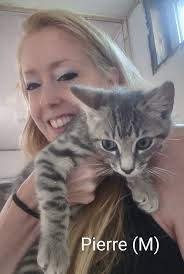 Approachable cat, but declines to permit closeness, situated