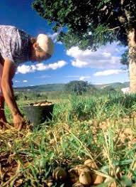 O conceito de setores da atividade económica corresponde a uma divisão artificial das atividades económicas de cada país, de acordo com a essência da tarefa em questão. Setores Da Economia Caracteristicas Dos Setores Da Economia