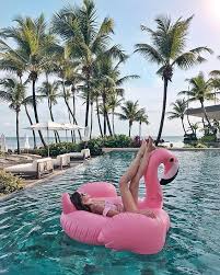 Pintrest Mermazingflamingo Instagram Mermazingflamingo Pool Photography Swimming Pool Photography Summer Vibes Friends