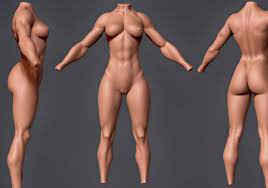 Nude female anatomy
