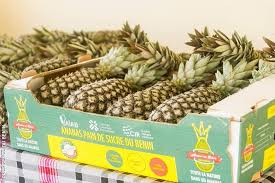 Agriculture Une 1ere Indication Geographique Protegee De L Ananas Pain De Sucre Pour Le Benin Benin Web Tv