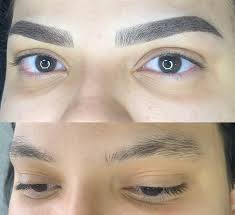 Sobrancelhas Denise Silva