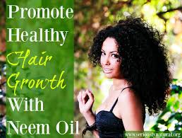 Methi seeds and coconut oil work well together in treating hair fall. Neem Oil For Promoting Healthy Hair Growth Check The Tips