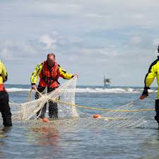 Daniel küblböck wird seit dem 9. Leiche Vor Ameland Gefunden Ist Es Die Vermisste 14 Jahrige Deutsche Stern De