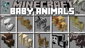 We did not find results for: Minecraft Baby Animal Mod Play With Baby Mobs And See Them Grow Minecraft Youtube