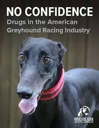 Drugs in Greyhound Racing