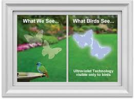 Bird Hitting Window Meaning Window Alert Keep Wild Birds Safe From Hitting Your Windows Or Protect Your Pet Birds From Flying Into Windo Window Decals Reflective Decals What Is A Bird