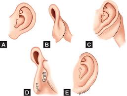 — a buckeye man has been arrested in the fatal shooting of his neighbor over a property dispute. Jaypeedigital Ebook Reader