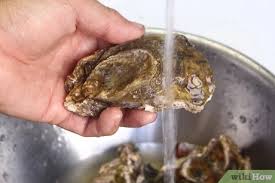 Do eggs go bad if kept in the fridge? How To Store Fresh Oysters 13 Steps With Pictures Wikihow