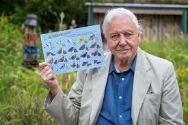 Attenborough Watching Butterflies Is Good For You