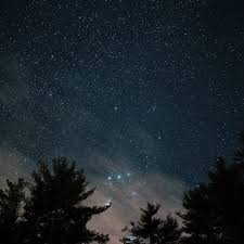 Check spelling or type a new query. Ni85 Night Sky Star Wood Space Starry Blue Dark Wallpaper