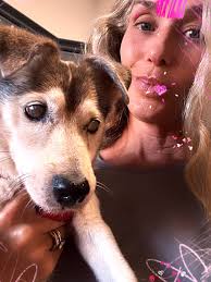 Happy International Dog Day ❤️❤️❤️ @dottcoal