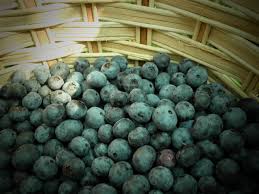 This is a partial list of fruit tree and nut nurseries. 5 Tips For Picking Fruit Trees And Berry Bushes B B Barns Garden Center Landscape Services
