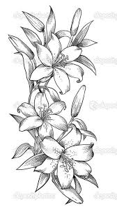 Poses Ailees Croquis De Fleurs Dessin Orchidee Dessin Floral