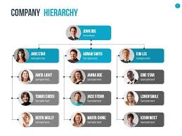 organizational chart and hierarchy template graphicriver