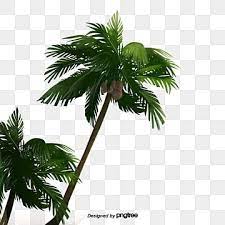 Cartoon Green Coconut Tree Cartoon Fruit Tree Tree Png Transparent Clipart Image And Psd File For Free Download Green Christmas Tree Decorations Tree Photoshop Watercolor Trees