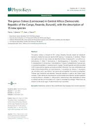 Image result for Coleus betonicifolius