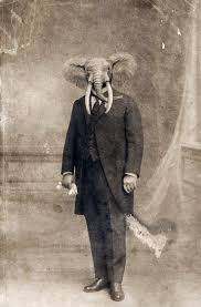 La théorie de l'évolution de l'homme du big bang à nos jours en passant par la préhistoire. L Homme Elephant Illustration D Elephant L Art De Lion Art Animalier