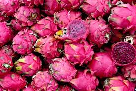 We did not find results for: Exotic Fruit Trees San Diego Guide Best Trees To Grow Install It Direct