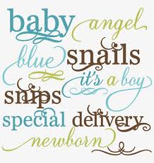 Download Baby Boy Words Set Svg File For Scrapbooking Crafts Calligraphy Transparent Png 800x792 Free Download On Nicepng