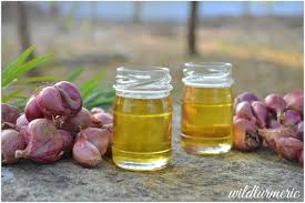 It also helps to cure hair fall and. Diy Onion Hair Oil Growth Serum For Hair Regrowth Baldness Hair Loss Afomas Beauty Corner