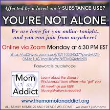 The Mom of an Addict Inc....