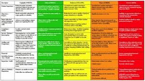 Risk Analysis Matrix Examples Table 2 Nhs Qis Core Risk Assessment Matrix Consequence Descriptors Risk Management Risk Matrix Risk Analysis