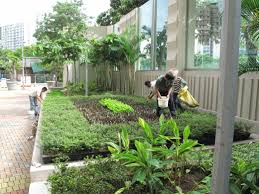 Urban Greenery Housing Development Board Hdb