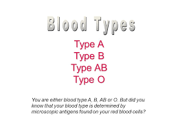 Type A Type B Type Ab Type O Blood Types Ppt Download