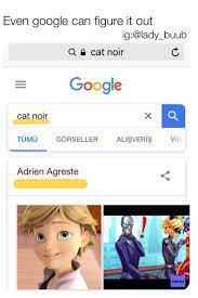 Miraculous Ladybug And Chat Noir Funny Memes Miraculous Ladybug Memes Miraculous Ladybug Comic Miraculous Ladybug