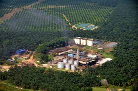 Mira management enterprise (mme) export the. Companies Can Now Spot Deforestation In Their Palm Oil Supply Chains Before It Happens Global Forest Watch Blog