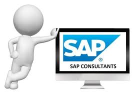 What You Need To Become A Sap Consultant Sap Training Tutorial How To Become Popular