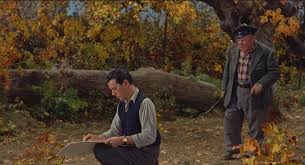 해리의 소동 (ko) film del 1955 diretto da alfred hitchcock (it) 1955 dirixida por alfred hitchcock (ast); Close Up On Alfred Hitchcock S The Trouble With Harry On Notebook Mubi