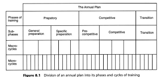 Guest Post By Rupert Egan Gymnastics Periodization To