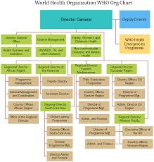 world health organization org chart how many divisons do u