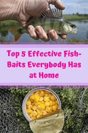 Top 5 Effective Fish Baits Everybody Has At Home Best Fishing Bait Diy Fishing Bait Crappie Fishing