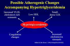Image result for Hypertriglyceridemia