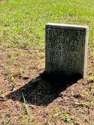 After years of marriage, Mary, Elmer's wife, felt that they did not need to  spend eternity together too. : r/CemeteryPorn