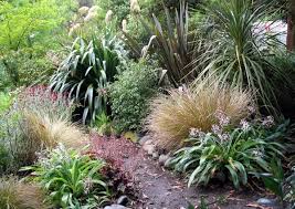 The Moosey Native Garden Nz Natives But They Look A Lot Like The Aust Ones Native Garden Garden Landscape Design Ferns Garden