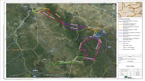 Image result for Chascanum adenostachyum