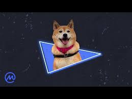 This Dogecoin Nft Is Now 225 Million September 3 2021 Youtube