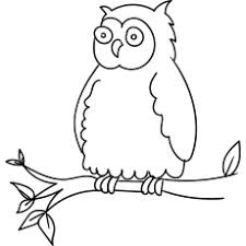 Did you know that there are around 250 owl species in this world? Top 25 Free Printable Owl Coloring Pages Online