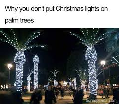 Putting away christmas decorations meme. 50 Hilarious Christmas Memes Bored Panda