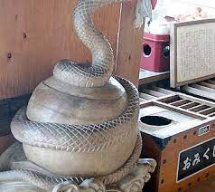 蛇 竹生島 八大竜王拝所の蛇 昆虫アート 白蛇 蛇