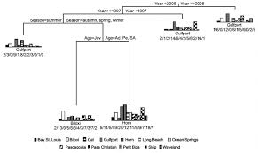 Classification Trees Constructed From Bottlenose Dolphin